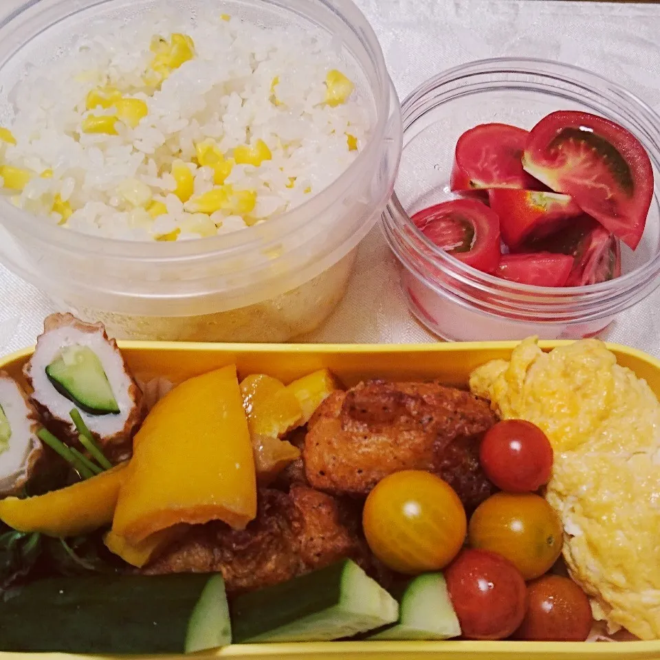 Snapdishの料理写真:7/17のお弁当|卯月さん