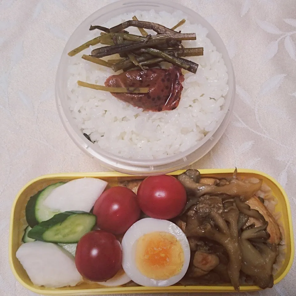 5/23のお弁当|卯月さん