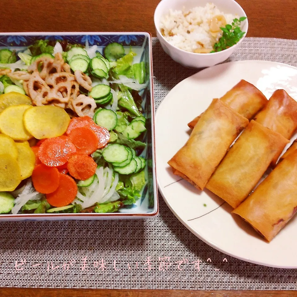 Snapdishの料理写真:野菜チップサラダと春巻|chapkanonさん