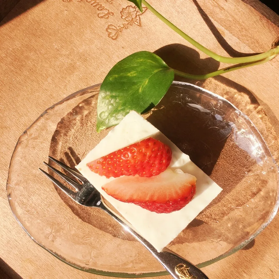 Snapdishの料理写真:さつぱりと美味しい ヨーグルトケーキ❣️|みぃさん