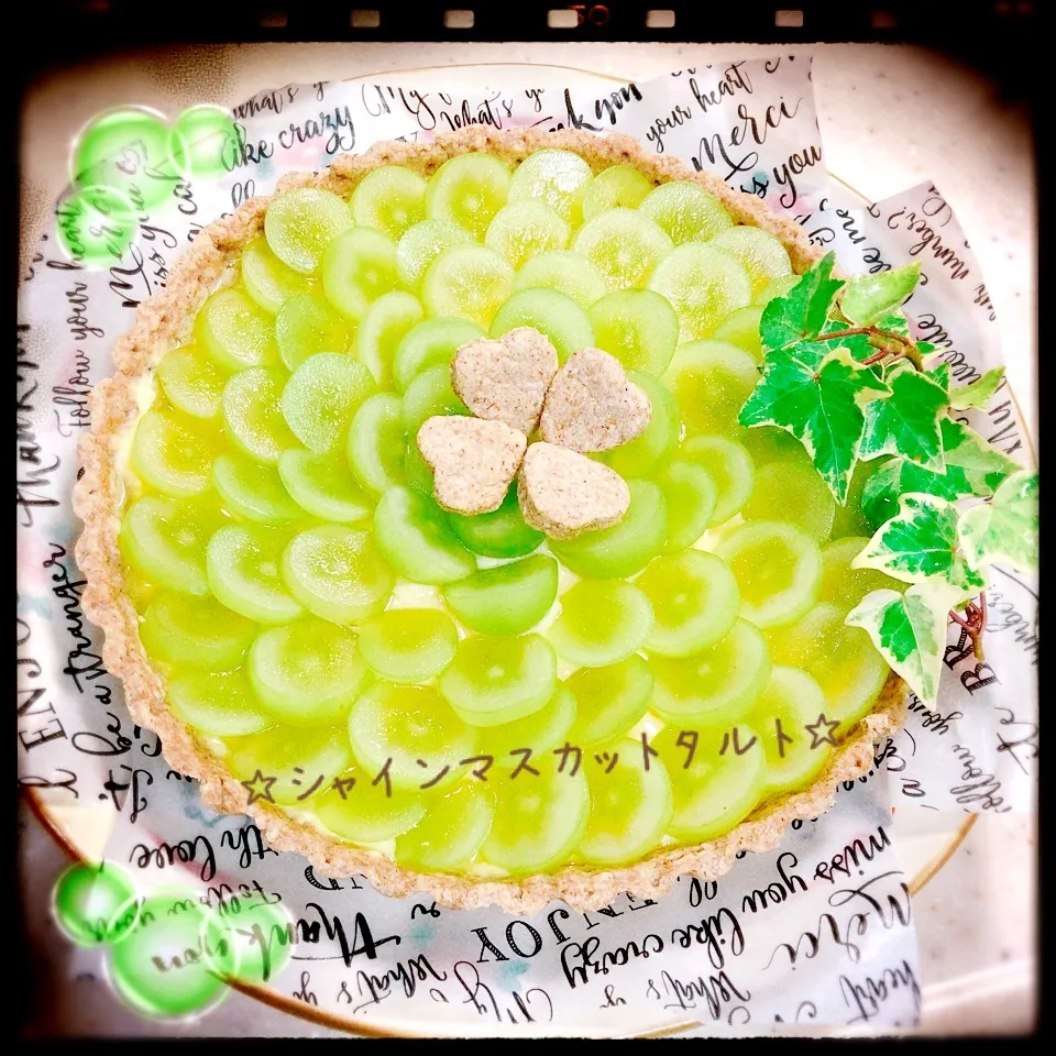 ☆シャインマスカットタルト☆|†みどり☆†さん