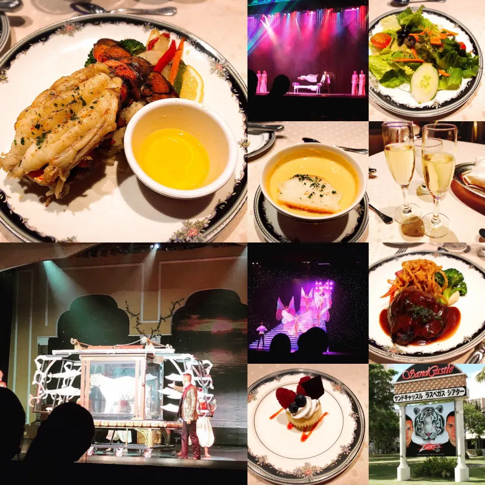 Snapdishの料理写真:Magic Dinner Show🎩🐅🕊🍴🥂|Kashimanakitchenさん