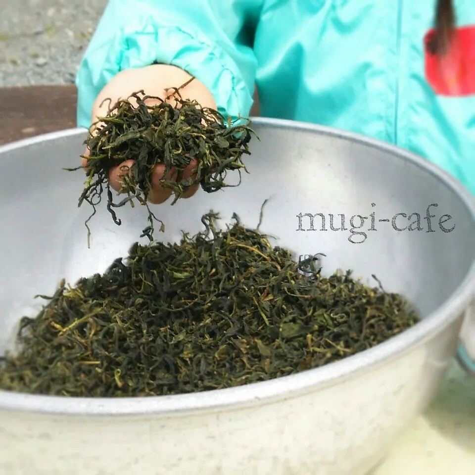 茶摘み体験♪釜煎り緑茶づくり|mughi-cafeさん