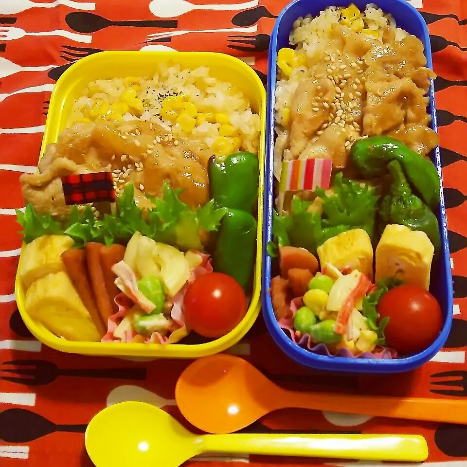 Snapdishの料理写真:お父ちゃん&娘のお弁当|OBENTOさん