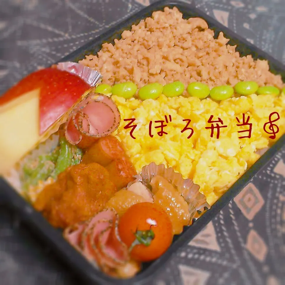 そぼろ弁当♡パパ弁|ちぃさん