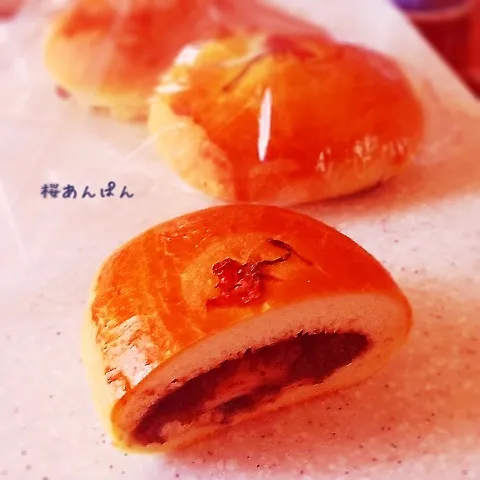 もちもち桜あんぱん|ticarinn5さん