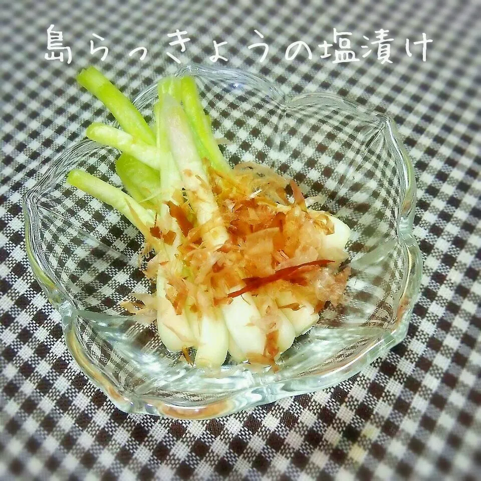 島らっきょうの塩漬け|meggyさん