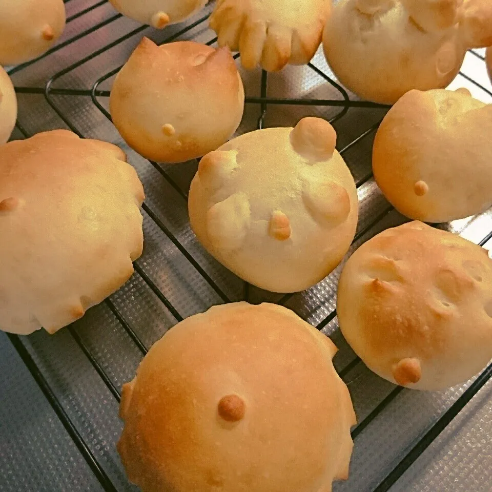 Snapdishの料理写真:動物風パン🍞|yukitさん