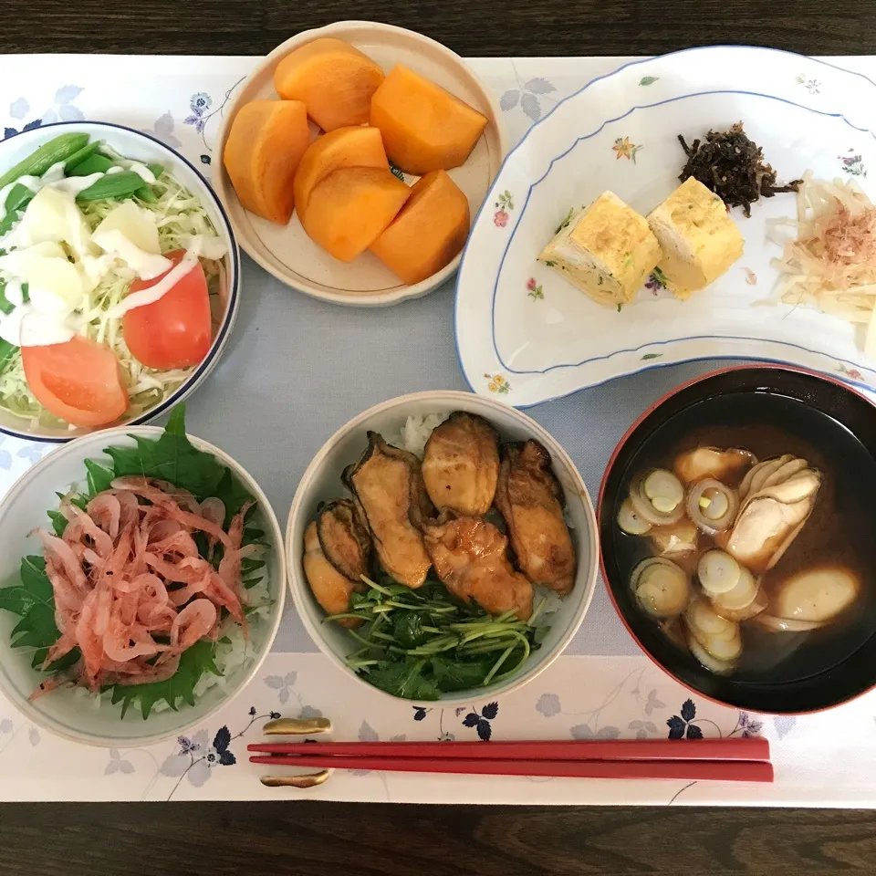 Snapdishの料理写真:桜海老丼と牡蠣丼で、季節のドンドン‼️|tamemitiさん