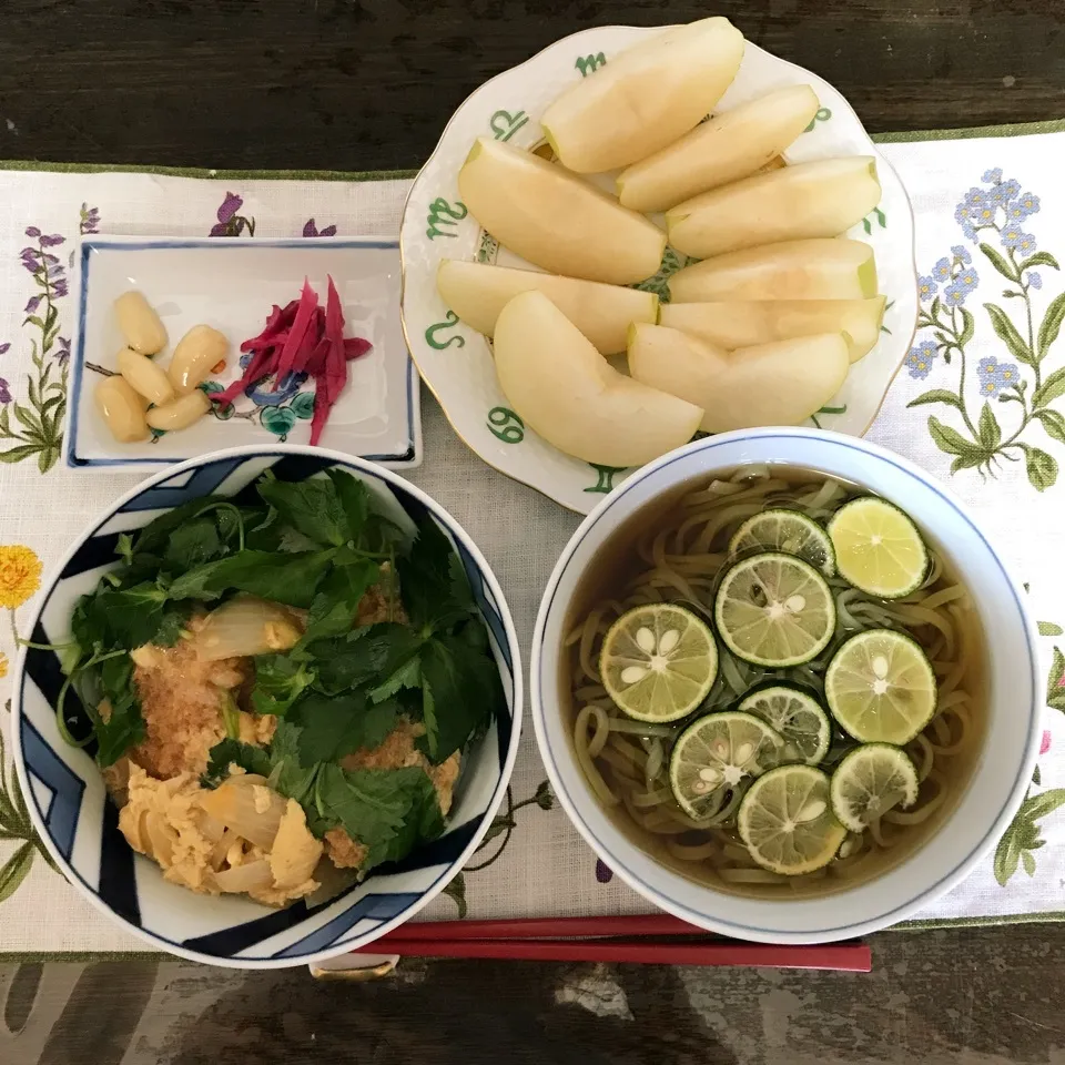 運動の後のカツ丼とすだちモロヘイヤ入りうどん|tamemitiさん