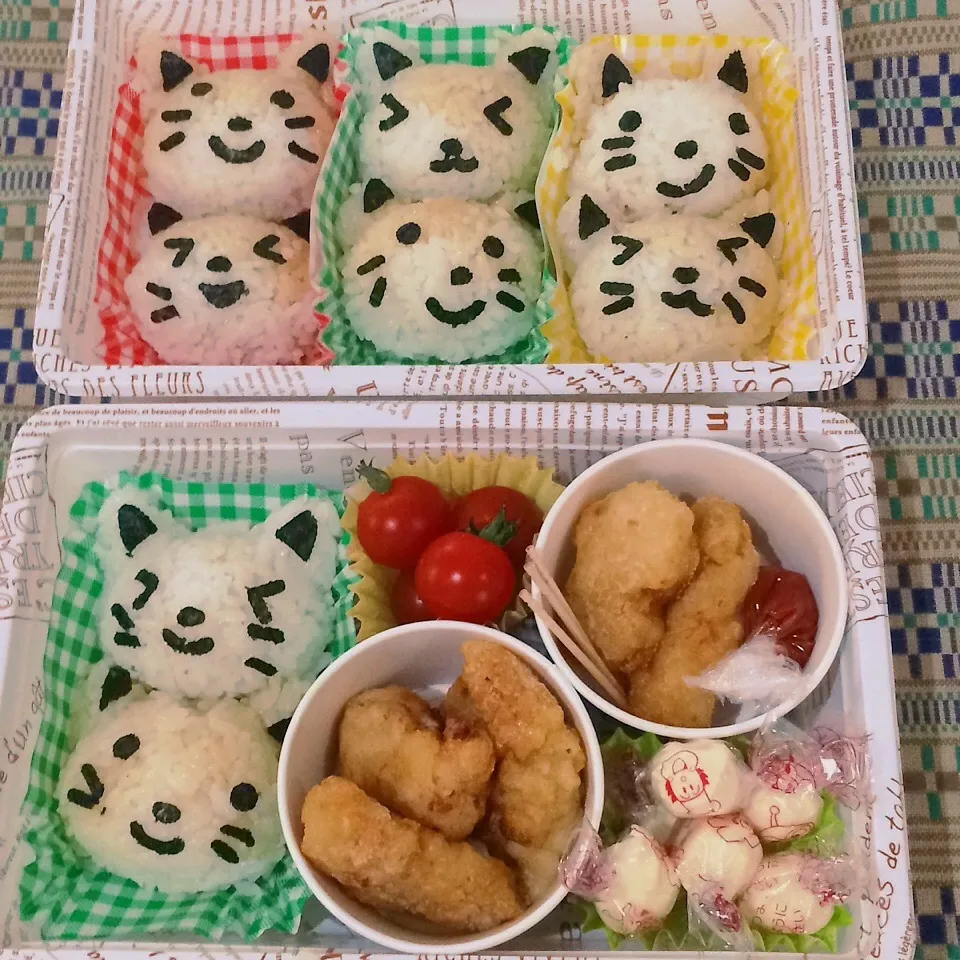 今日は初にゃんこ弁当(*^▽^*)|yukitさん