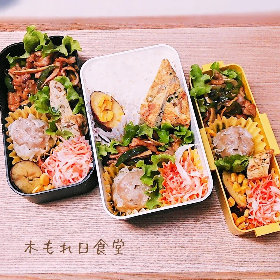 チンジャオロース弁当|木もれ日食堂さん