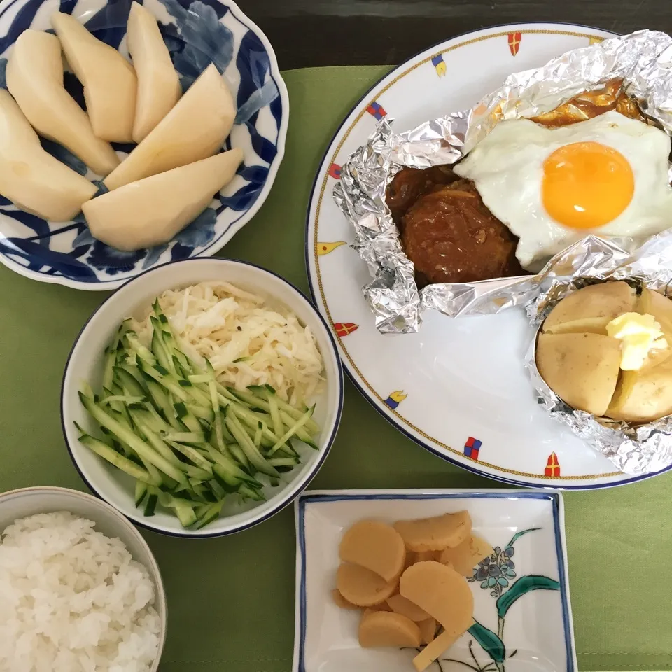 Snapdishの料理写真:煮込みハンバーグの食事❣️|tamemitiさん