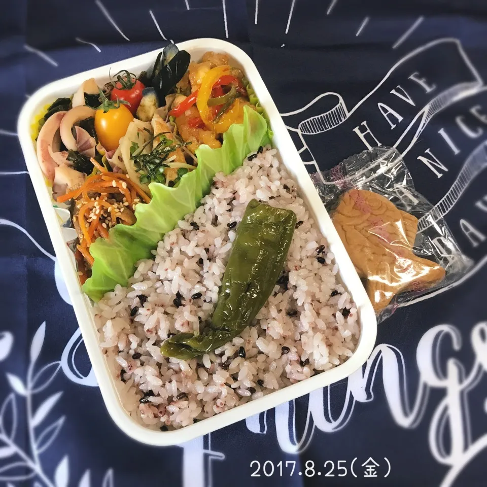 旦那さんのお弁当|みきじょ〜さん