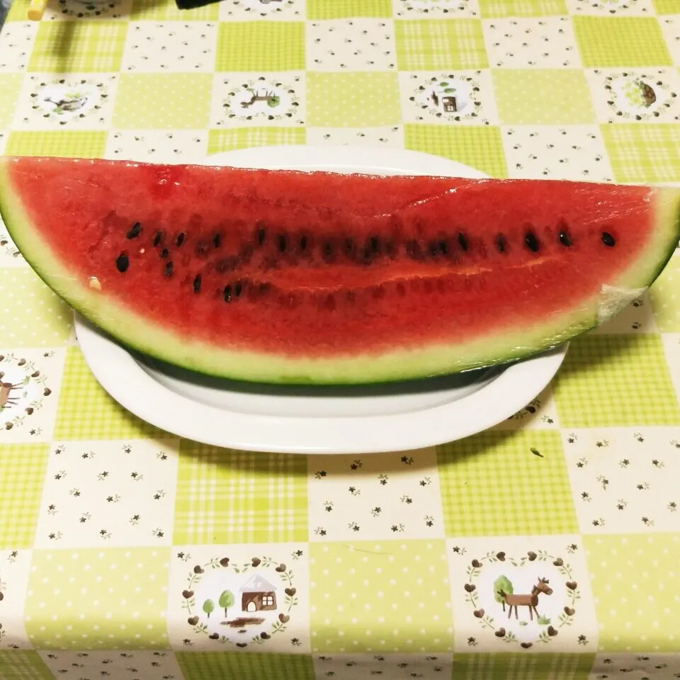 デカすいか🍉|じゅんさん