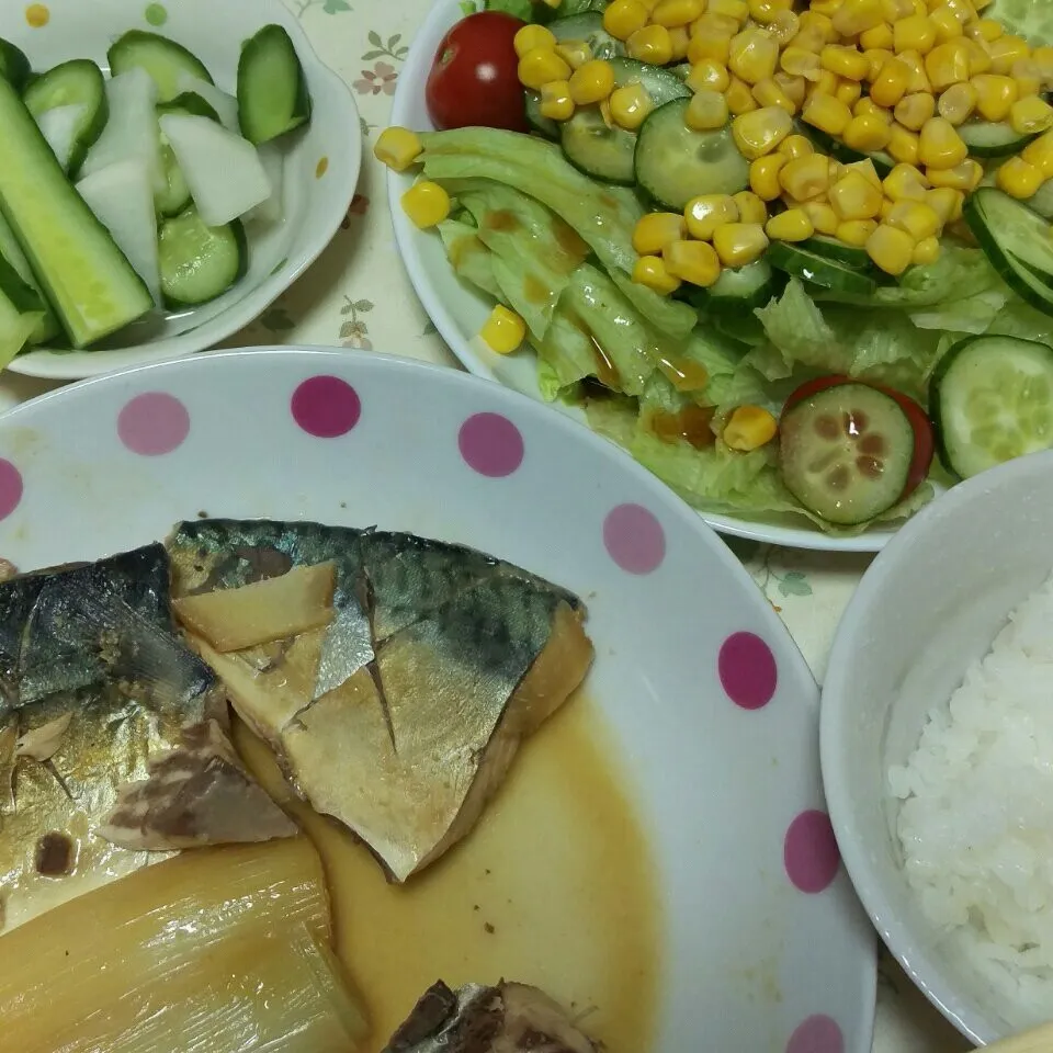 さばの味噌煮&漬物&サラダ🍚|じゅんさん