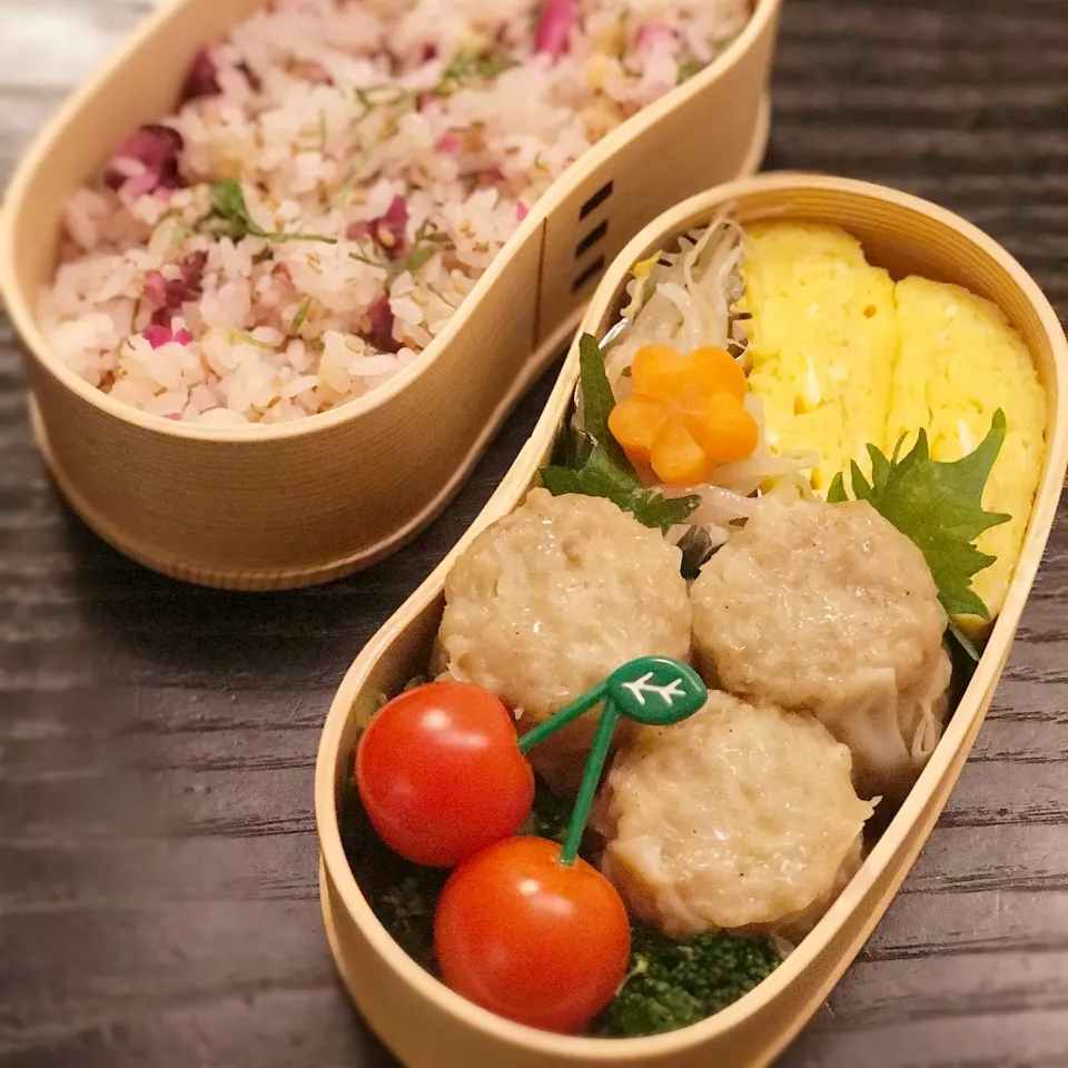 Snapdishの料理写真:今日の息子くん弁当♡551シュウマイ&たぬきごはん弁当♡|yu-chanさん