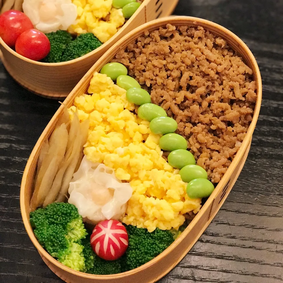 Snapdishの料理写真:今日の息子くん弁当♡そぼろ二色弁当♡|yu-chanさん