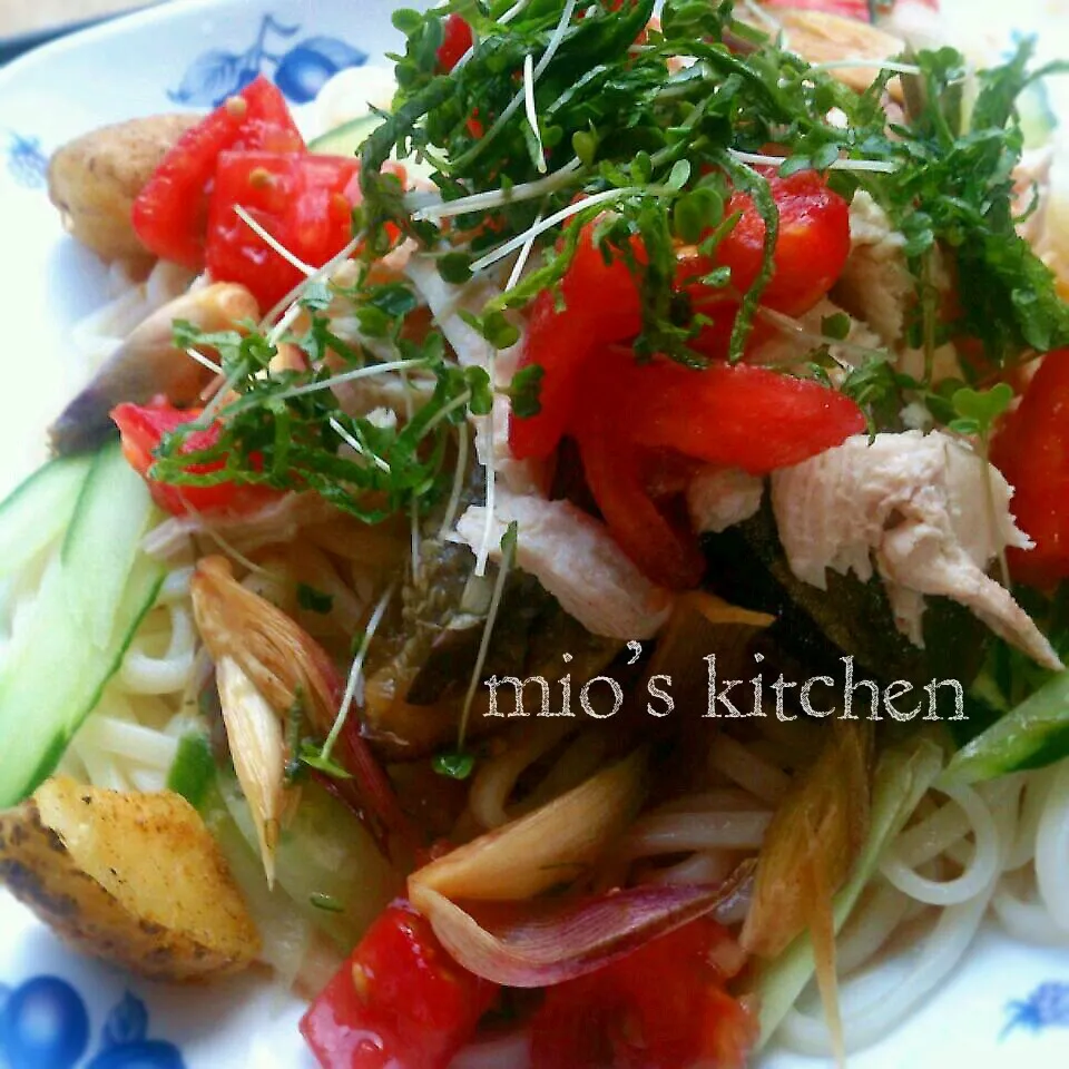 ☆久しぶりの投稿です♡夏野菜&蒸し鶏うどん☆レシピ有♪|美桜さん