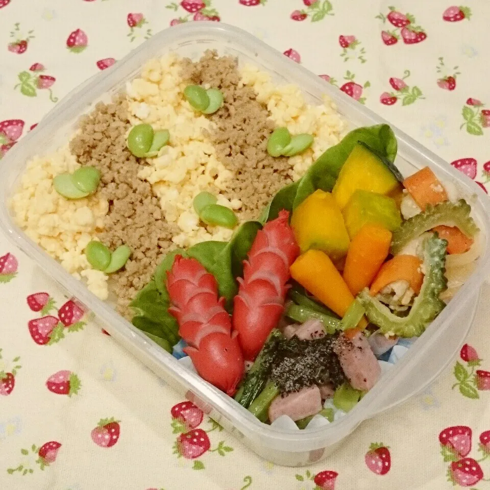 そぼろご飯弁当🎵|みちゅあしさん