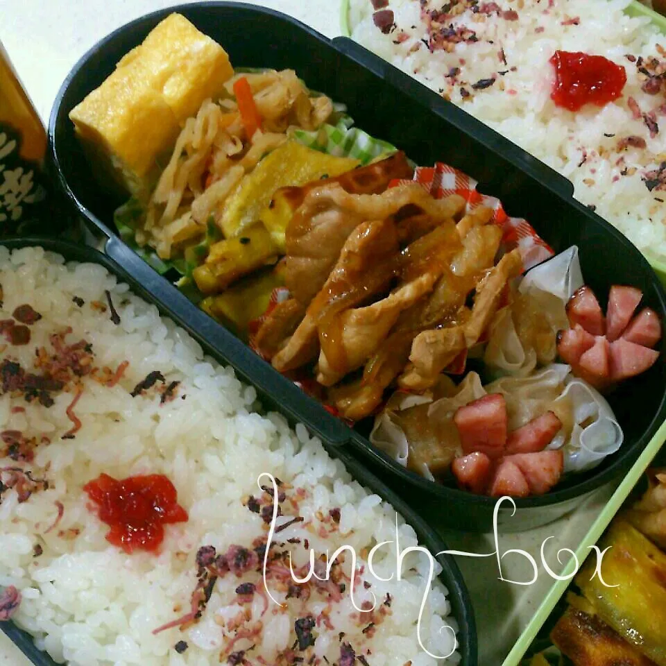 ☆今日のお弁当☆|美桜さん