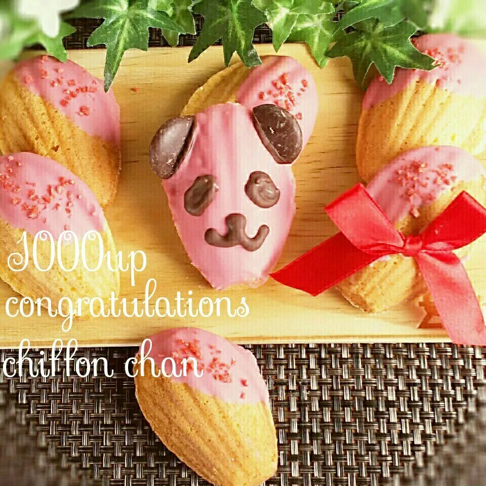 Snapdishの料理写真:🐼マドレーヌでchiffonchan 1000upのお祝い|Lilomamaさん