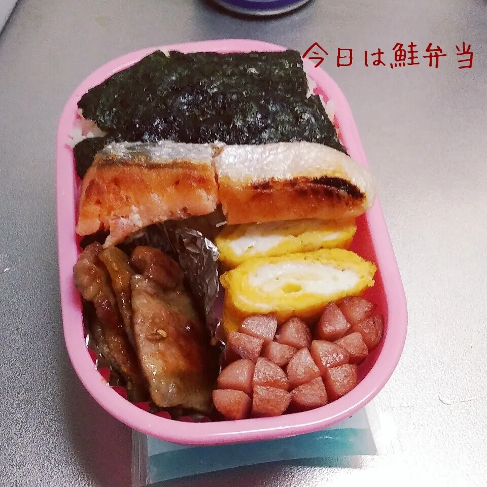 今日は鮭弁当|さっちゃんさん