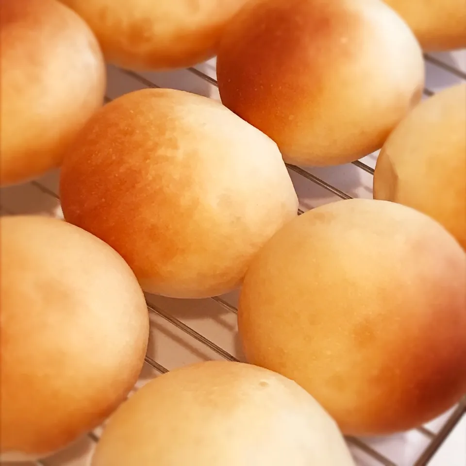 丸パン❣︎|みーしゃさん