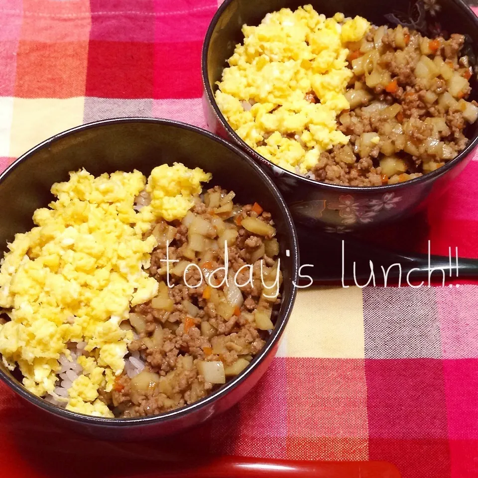 Snapdishの料理写真:ちーちゃんの♡5品目そぼろで2色丼|Lieさん