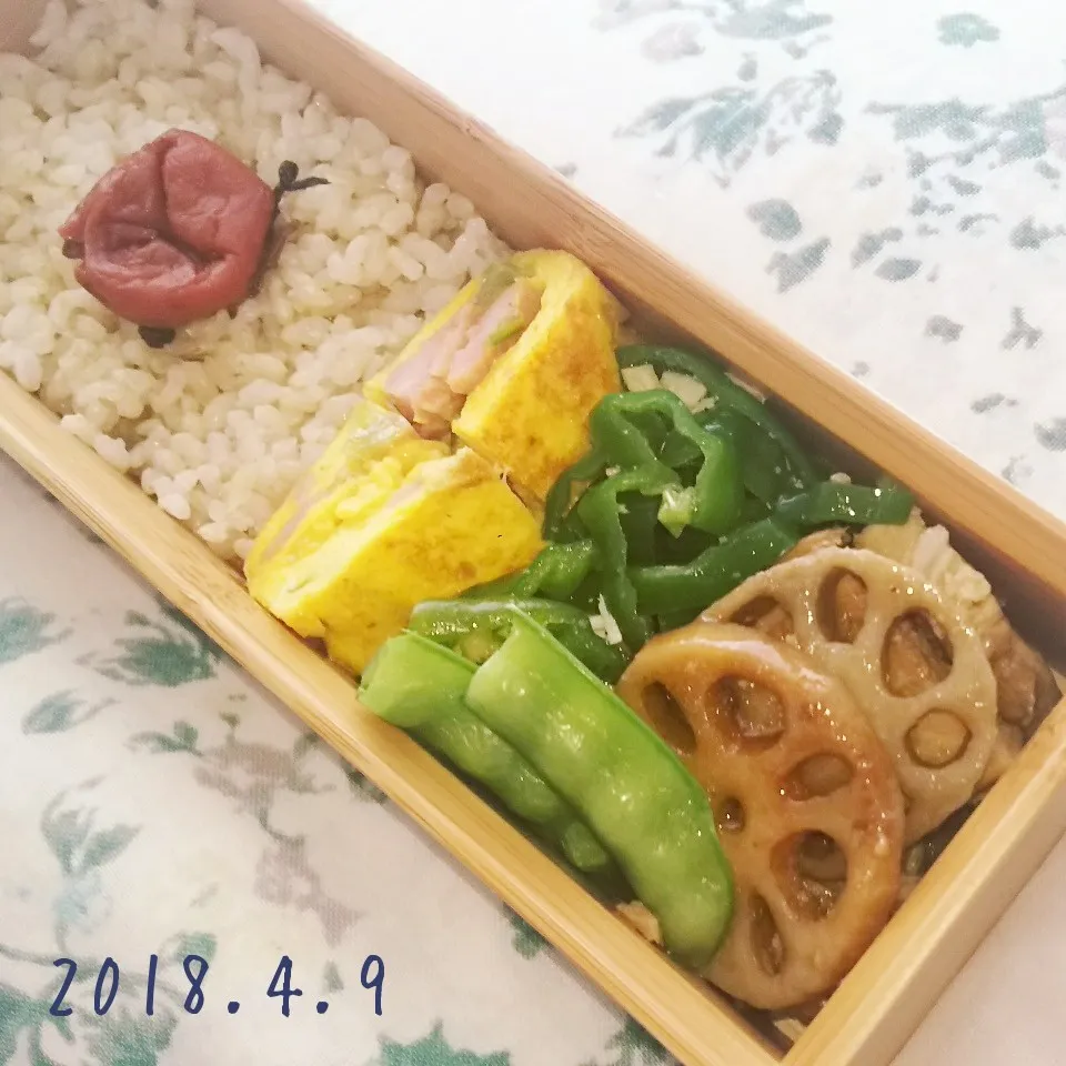 Snapdishの料理写真:常備菜詰合せ弁当|yuragizmさん