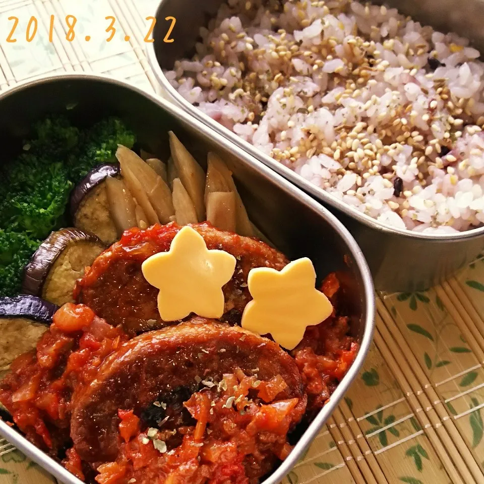 トマトソースハンバーグ弁当|yuragizmさん