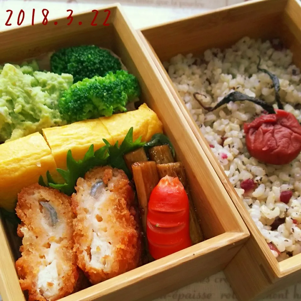 サーモンフライ弁当|yuragizmさん