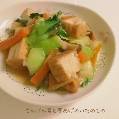 ちんげん菜と厚揚げのニンニク炒め|みーしゃさん