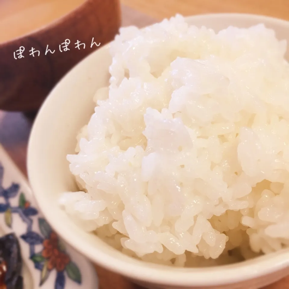 土鍋でふっくら、幸せご飯🍀|ぽわんぽわんさん