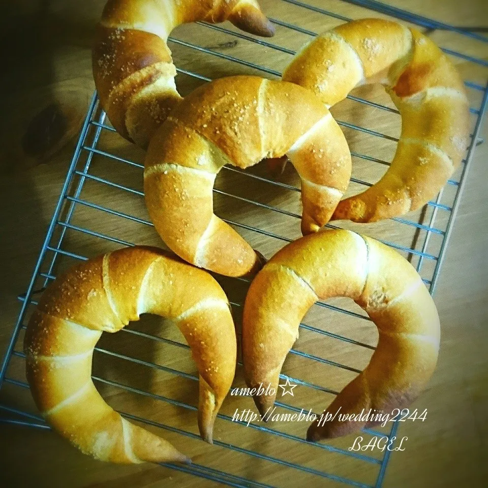 パリッもちっ❤シンプルな塩クレセントロール🥐❣️|BAGELさん