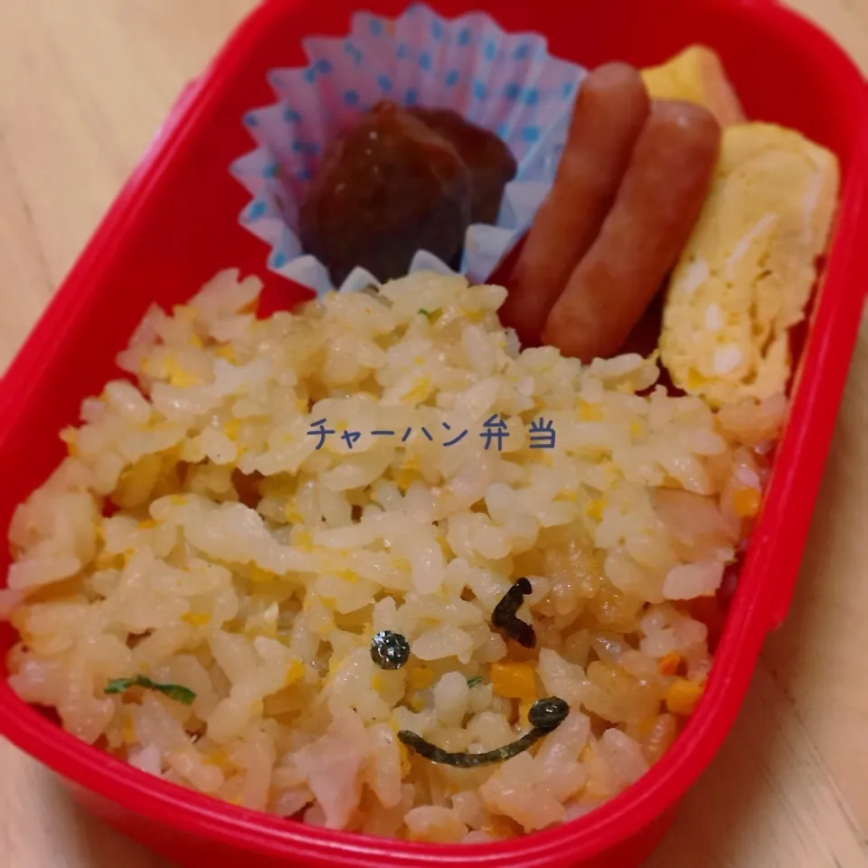 Snapdishの料理写真:チャーハン弁当|okomeさん