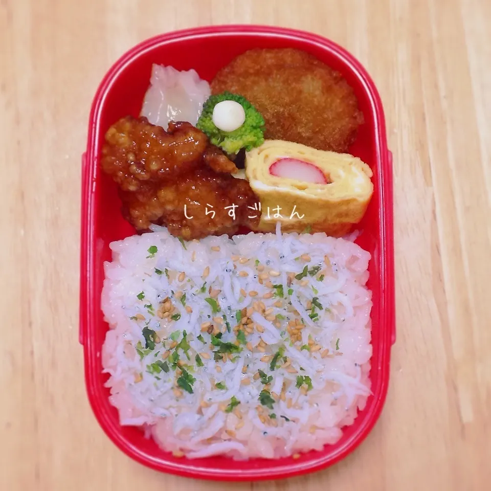 しらすごはんのお弁当|okomeさん