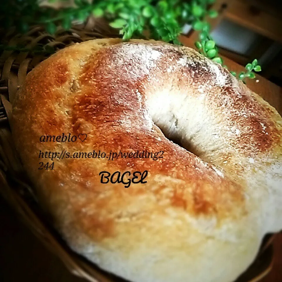 しっとりふんわりなエンゼルバゲット加水80%♡|BAGELさん