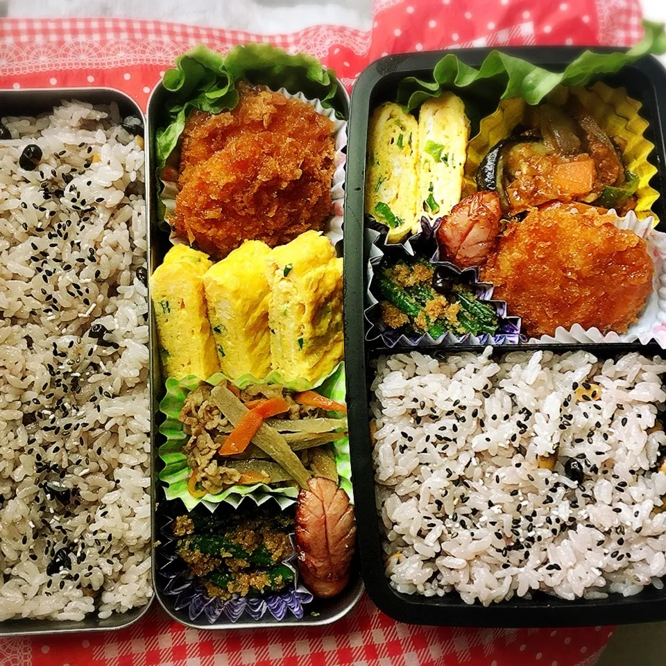 Snapdishの料理写真:5/17 高校弁当と旦那弁当|シャークさん