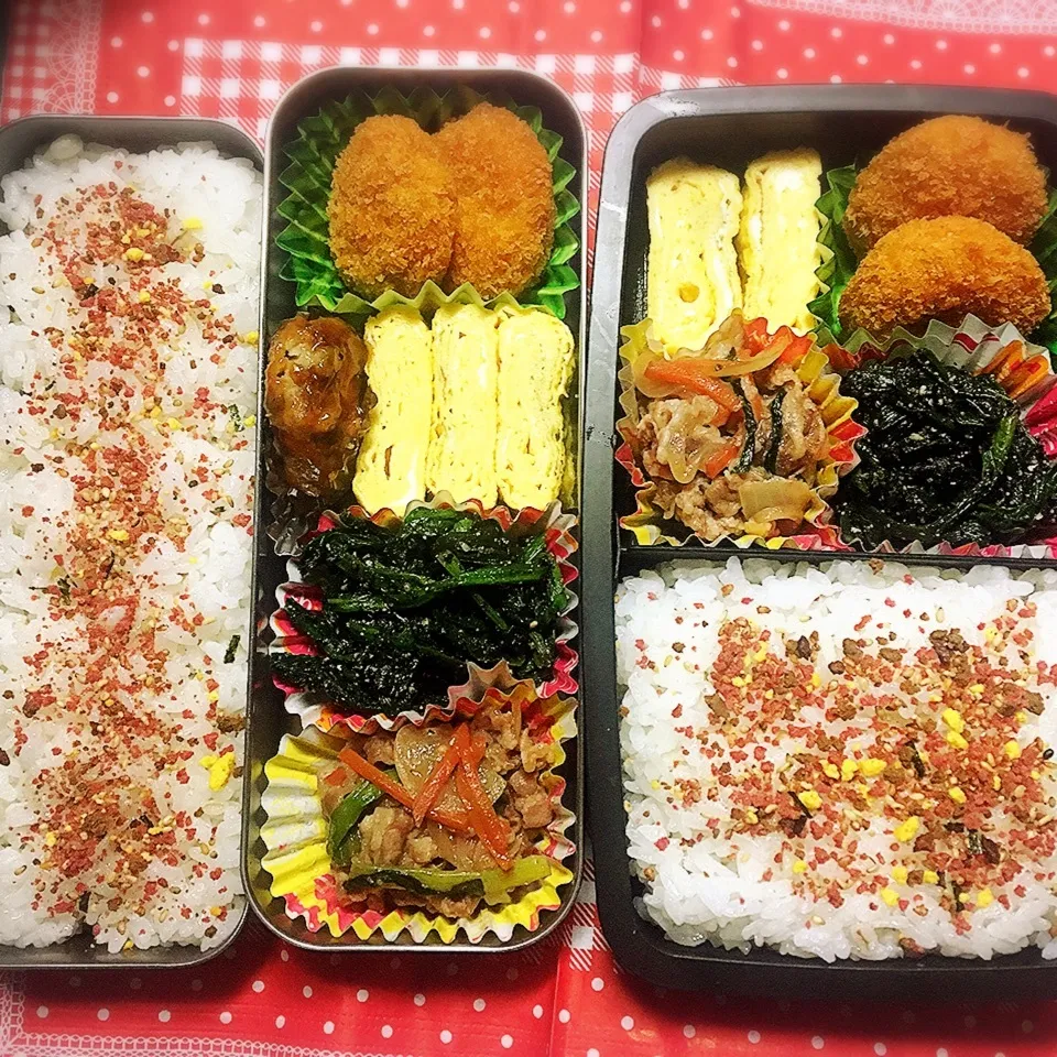 Snapdishの料理写真:2/15 高校弁当と旦那弁当|シャークさん