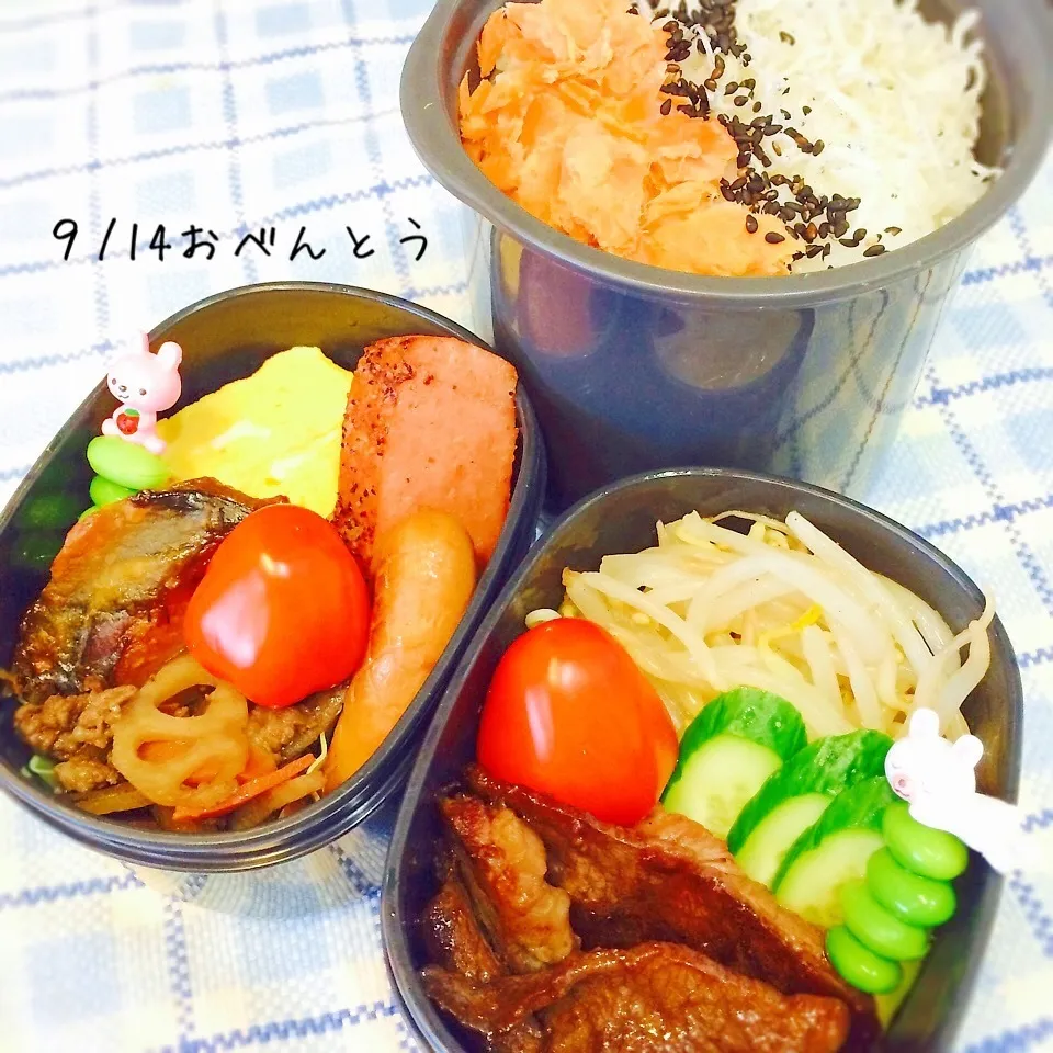 Snapdishの料理写真:９月14日おべんとう|みかりんさん