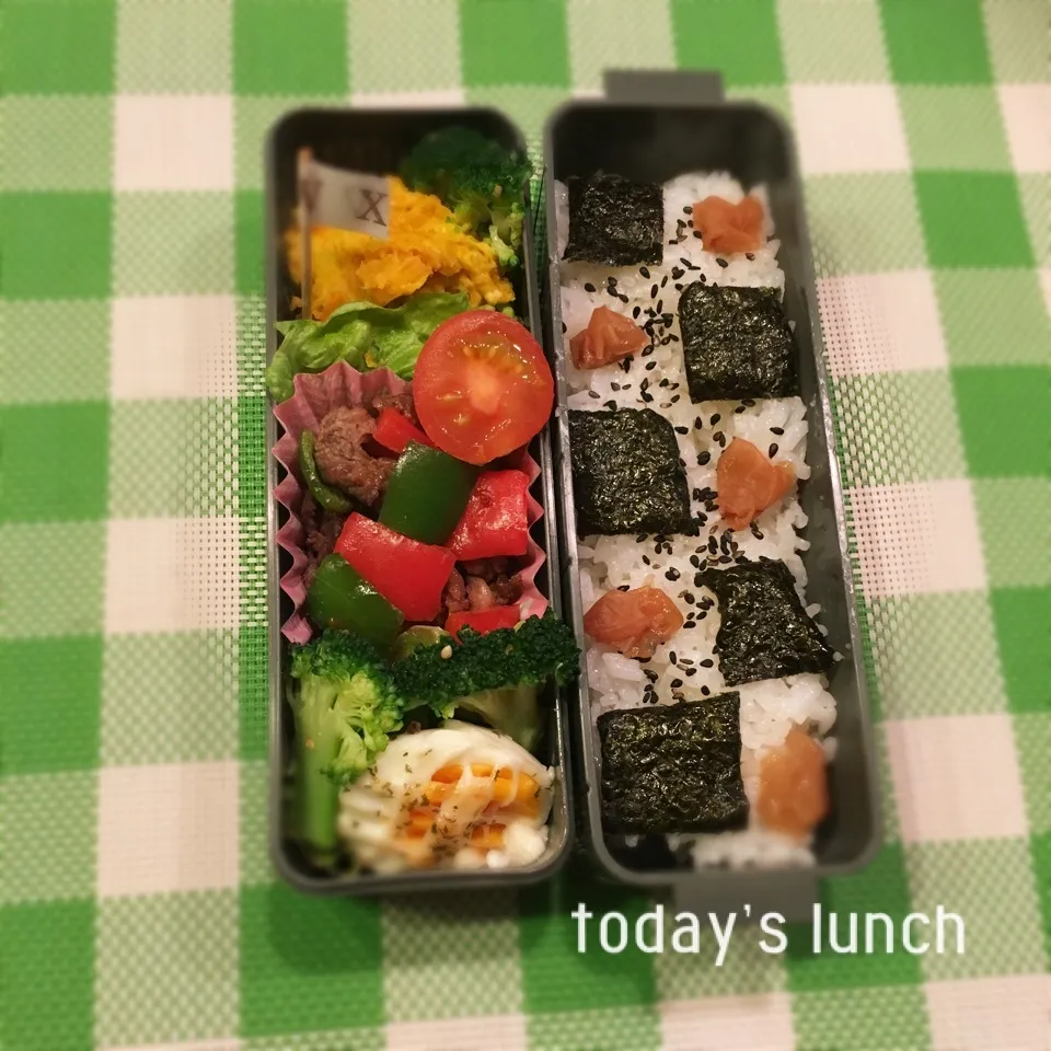 Snapdishの料理写真:大学生のお弁当|ままピーさん