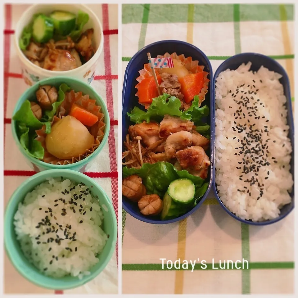 Snapdishの料理写真:大学生と高校生のお弁当|ままピーさん