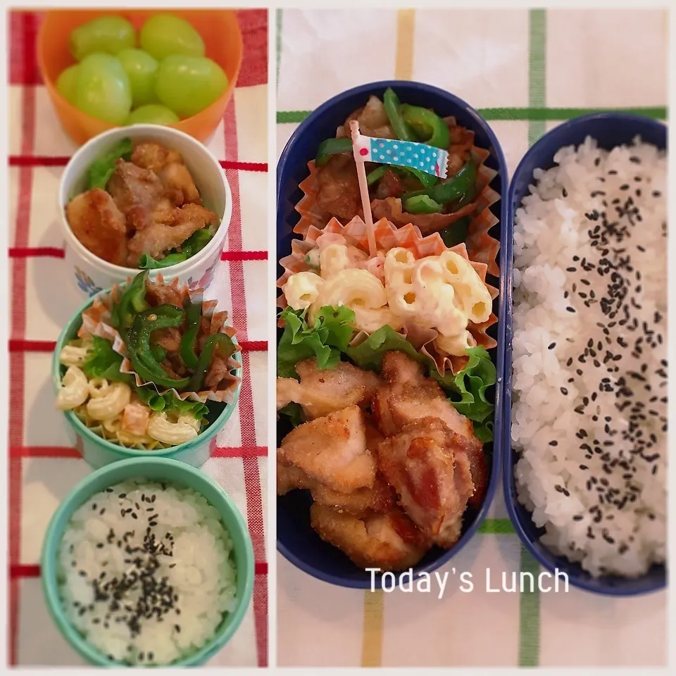 Snapdishの料理写真:大学生と高校生のお弁当|ままピーさん