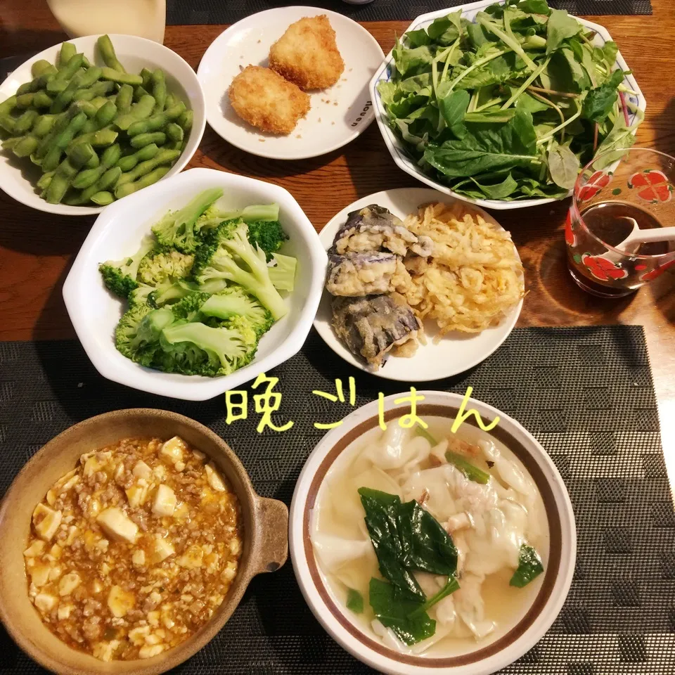 麻婆豆腐、わんたんスープ、チョレギサラダ、枝豆、残り物|yakinasuさん