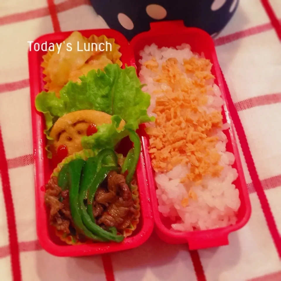 Snapdishの料理写真:高校生のお弁当|ままピーさん