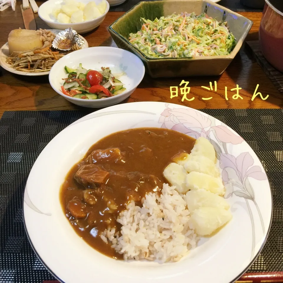 Snapdishの料理写真:昨日のチキンカレー、コールスローサラダ、残り物|yakinasuさん