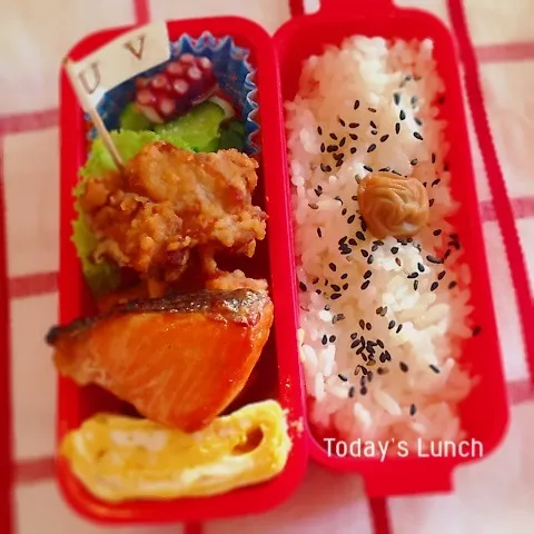 Snapdishの料理写真:高校生女子のお弁当|ままピーさん