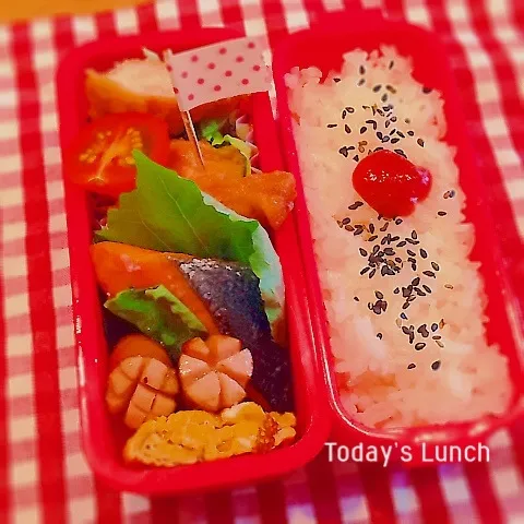 高校生女子のお弁当|ままピーさん