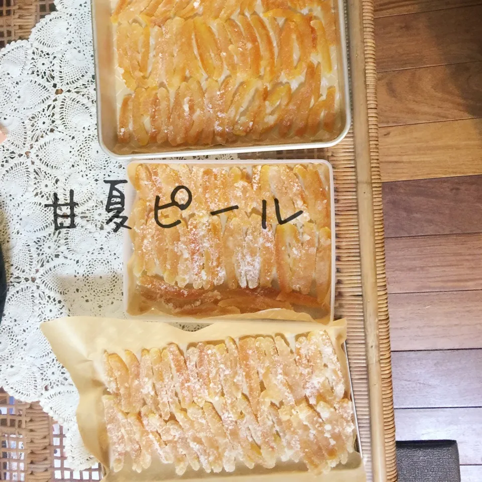 今週末サロン用に甘夏蜜柑でピール作りました。|yakinasuさん